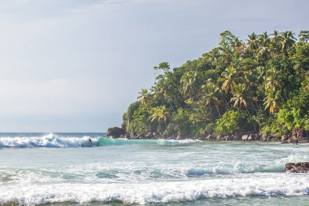 Surfer in the waves of Sri Lanka