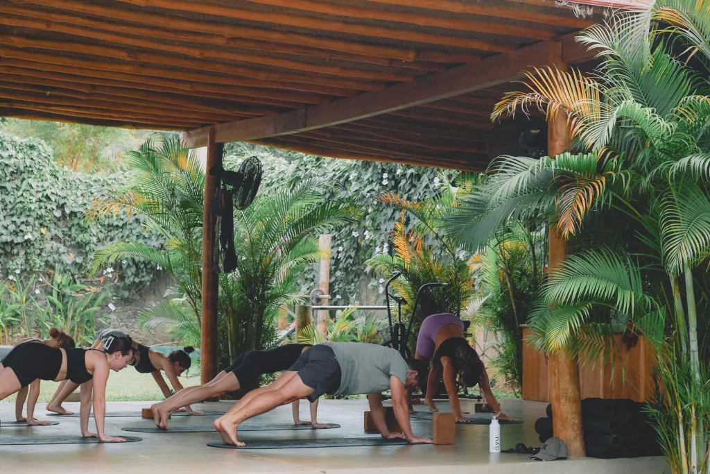 Longboard surfing in Sri Lanka | Kima Surf Sri Lanka