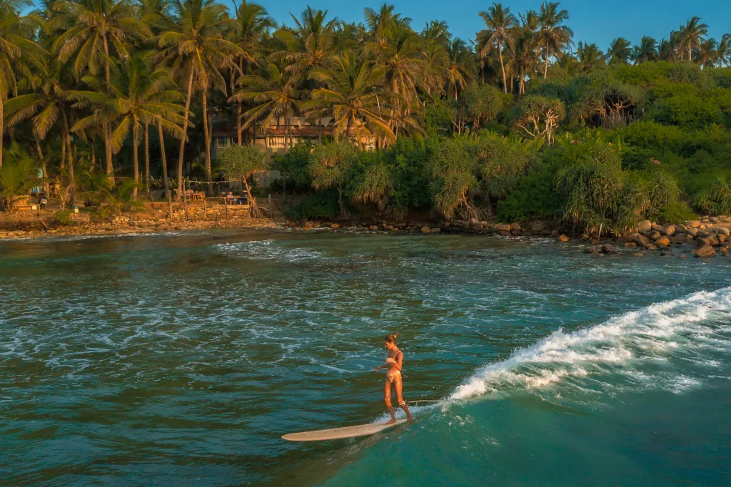Woman surfing on the sea