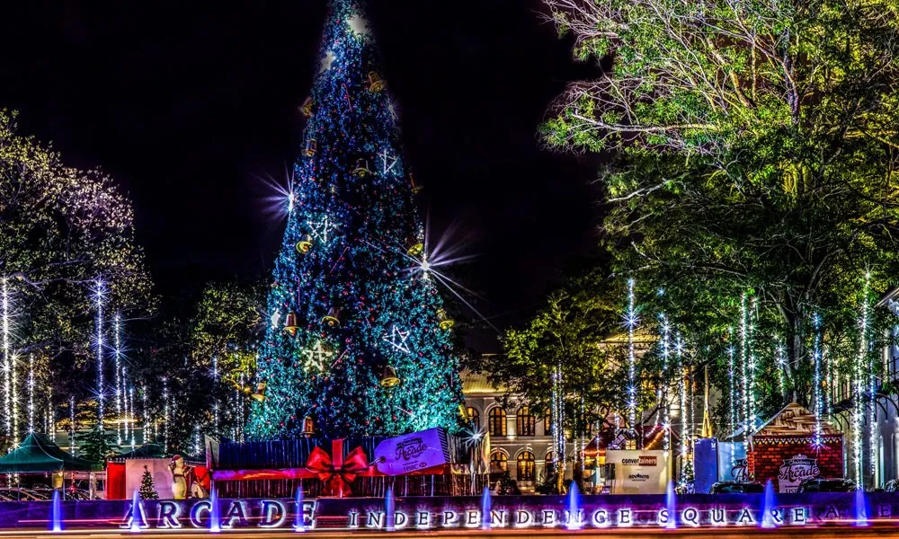 Christmas tree in Sri Lanka